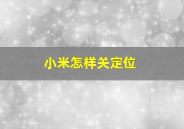 小米怎样关定位