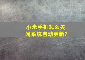 小米手机怎么关闭系统自动更新?