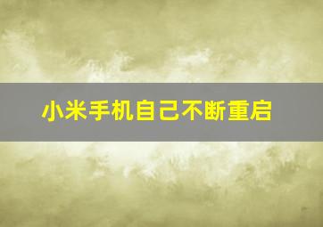 小米手机自己不断重启