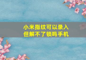 小米指纹可以录入但解不了锁吗手机