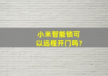 小米智能锁可以远程开门吗?