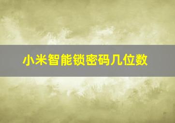 小米智能锁密码几位数