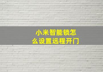 小米智能锁怎么设置远程开门