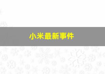 小米最新事件