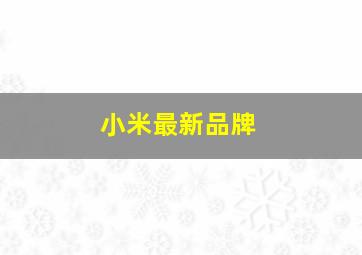 小米最新品牌