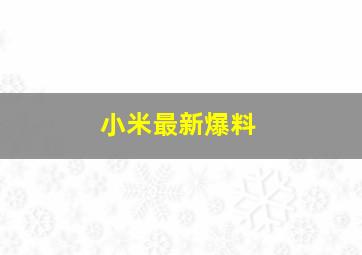 小米最新爆料