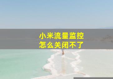 小米流量监控怎么关闭不了