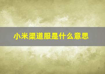 小米渠道服是什么意思