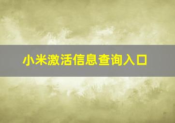 小米激活信息查询入口