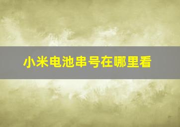 小米电池串号在哪里看