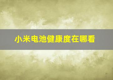 小米电池健康度在哪看