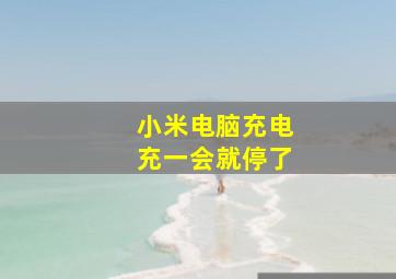 小米电脑充电充一会就停了