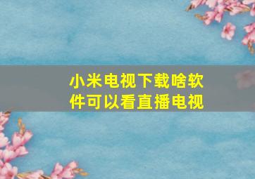 小米电视下载啥软件可以看直播电视