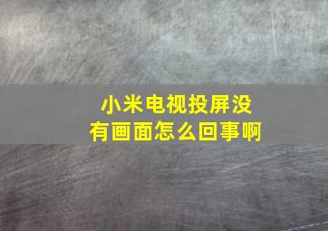 小米电视投屏没有画面怎么回事啊