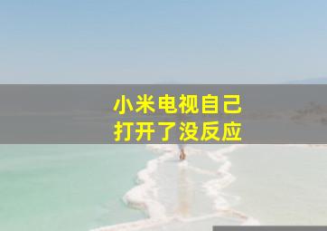 小米电视自己打开了没反应