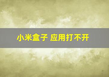 小米盒子 应用打不开