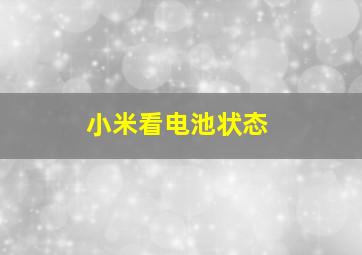 小米看电池状态