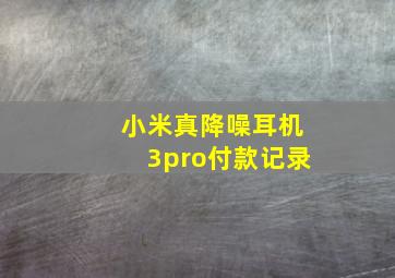 小米真降噪耳机3pro付款记录