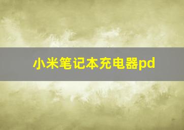 小米笔记本充电器pd