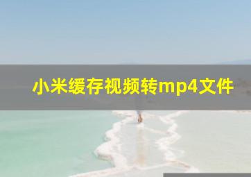 小米缓存视频转mp4文件