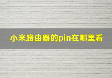 小米路由器的pin在哪里看