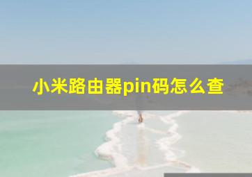 小米路由器pin码怎么查