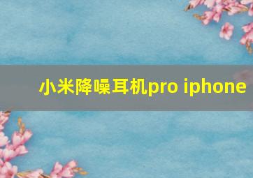 小米降噪耳机pro iphone