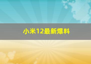 小米12最新爆料