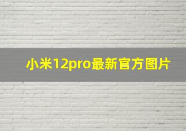 小米12pro最新官方图片