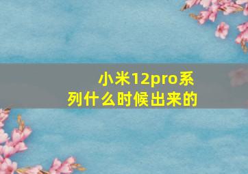 小米12pro系列什么时候出来的