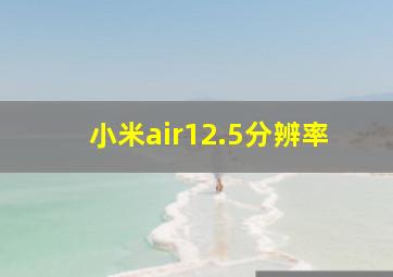 小米air12.5分辨率