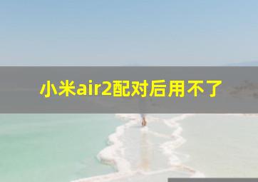 小米air2配对后用不了