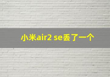 小米air2 se丢了一个