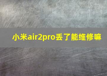 小米air2pro丢了能维修嘛