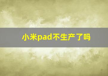 小米pad不生产了吗