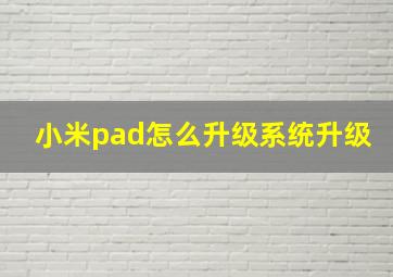 小米pad怎么升级系统升级