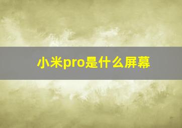 小米pro是什么屏幕