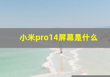 小米pro14屏幕是什么