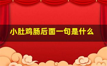 小肚鸡肠后面一句是什么