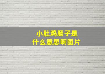 小肚鸡肠子是什么意思啊图片