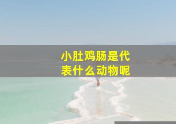 小肚鸡肠是代表什么动物呢