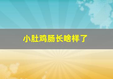 小肚鸡肠长啥样了