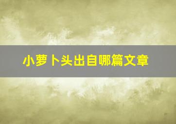 小萝卜头出自哪篇文章