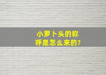 小萝卜头的称呼是怎么来的?