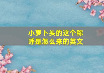 小萝卜头的这个称呼是怎么来的英文