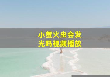 小萤火虫会发光吗视频播放