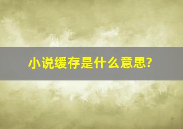 小说缓存是什么意思?