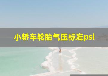 小轿车轮胎气压标准psi