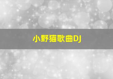 小野猫歌曲DJ