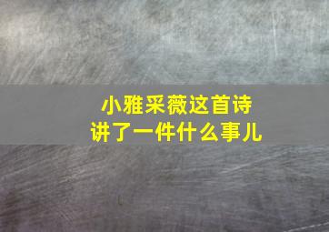 小雅采薇这首诗讲了一件什么事儿